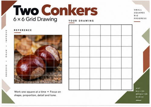 Two Conkers Grid Drawing Worksheet | Observational Drawing | KS3 & KS4 Art