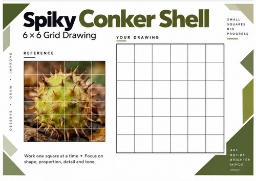 Spiky Conker Shell Grid Drawing Worksheet | Texture Drawing | KS3 & KS4 Art
