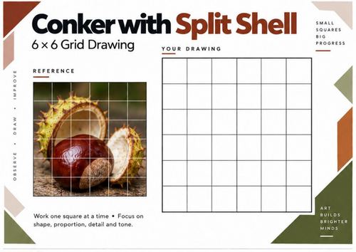 Conker with Split Shell Grid Drawing Worksheet | Autumn Art | KS3 & KS4