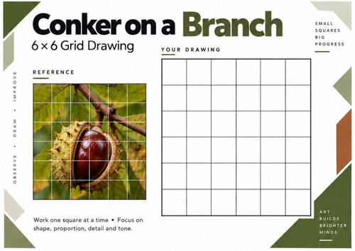 Conker on a Branch Grid Drawing Worksheet | Nature Drawing | KS3 & KS4 Art