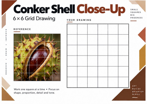 Conker Shell Close-Up Grid Drawing Worksheet | Observational Art | KS3 & KS4