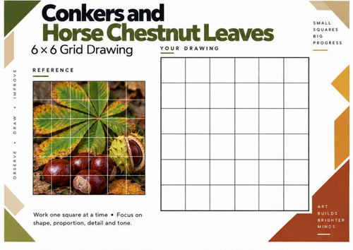 Conkers & Horse Chestnut Leaves Grid Drawing Worksheet | KS3 & KS4 Art