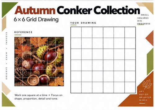 Autumn Conker Collection Grid Drawing Worksheet | Seasonal Art | KS3 & KS4