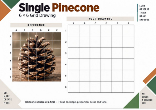 Single Pinecone Grid Drawing Worksheet | KS3 & KS4 Art