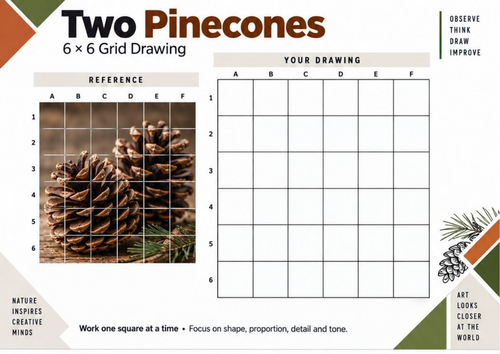 Two Pinecones Grid Drawing Worksheet | KS3 & KS4 Art