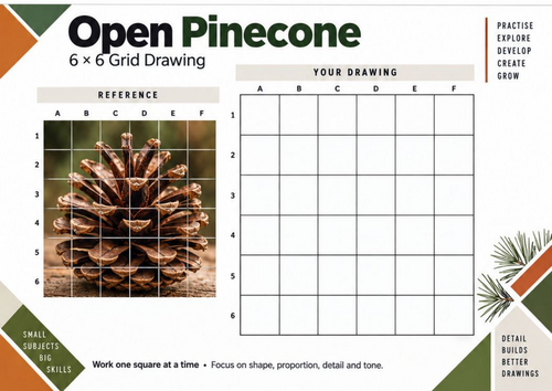 Open Pinecone Grid Drawing Worksheet | KS3 & KS4 Art