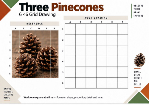 Three Pinecones Grid Drawing Worksheet | KS3 & KS4 Art
