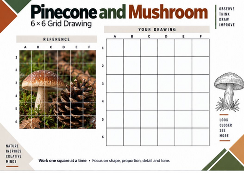 Pinecone and Mushroom Grid Drawing Worksheet | Woodland Art | KS3 & KS4