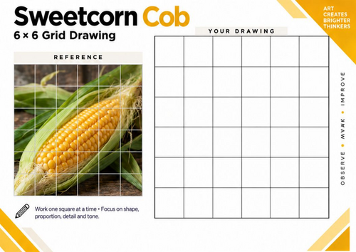 Sweetcorn Cob Grid Drawing Worksheet | Autumn Harvest Art | KS3 & KS4