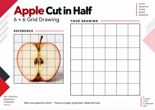 Apple Cut in Half Grid Drawing Worksheet | Still Life Drawing | KS3 & KS4 Art