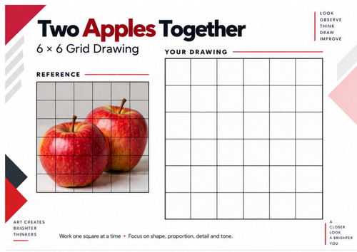 Two Apples Together Grid Drawing Worksheet | Observational Drawing | KS3 & KS4