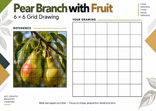 Pear Branch with Fruit Grid Drawing Worksheet | Natural Forms | KS3 & KS4 Art