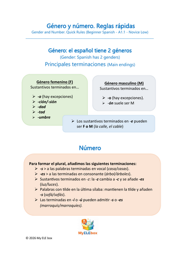 Spanish Gender and Number – Grammar Rules & Practice | BEGINNER | A1.1