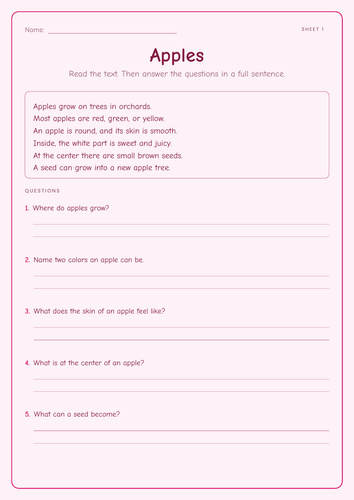 Non-fiction Reading Comprehension | 23 Sheets