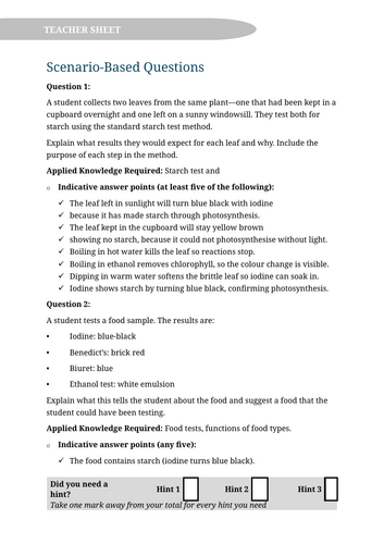 KS3 Food & Digestion Application of Knowledge Questions