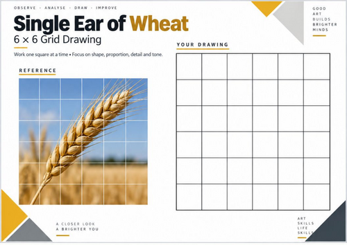 Single Ear of Wheat Grid Drawing Worksheet | KS3 & KS4 Art