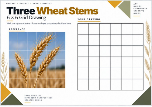 Three Wheat Stems Grid Drawing Worksheet | KS3 & KS4 Art