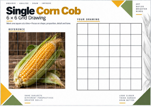 Single Corn Cob Grid Drawing Worksheet | KS3 & KS4 Art
