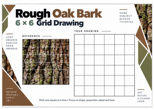Rough Oak Bark Grid Drawing Worksheet | Woodland Texture | KS3 & KS4 Art