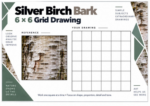 Silver Birch Bark Grid Drawing Worksheet | Tree Texture | KS3 & KS4 Art