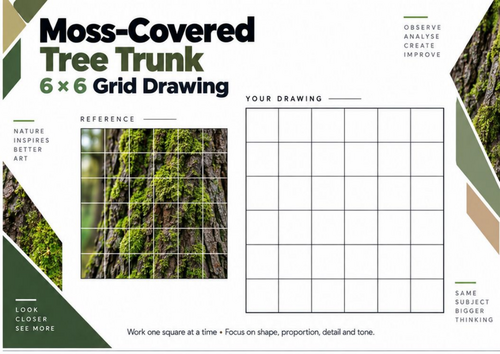 Moss-Covered Tree Trunk Grid Drawing Worksheet | Natural Forms | KS3 & KS4 Art