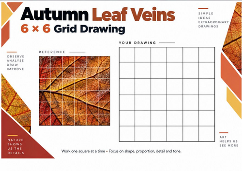 Autumn Leaf Veins Grid Drawing Worksheet | Natural Texture | KS3 & KS4 Art