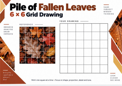 Pile of Fallen Leaves Grid Drawing Worksheet | Autumn Art | KS3 & KS4