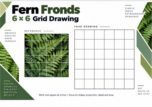 Fern Fronds Grid Drawing Worksheet | Botanical Drawing | KS3 & KS4 Art