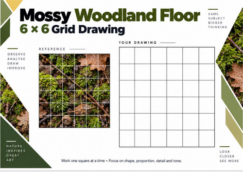Mossy Woodland Floor Grid Drawing Worksheet | Texture Study | KS3 & KS4 Art