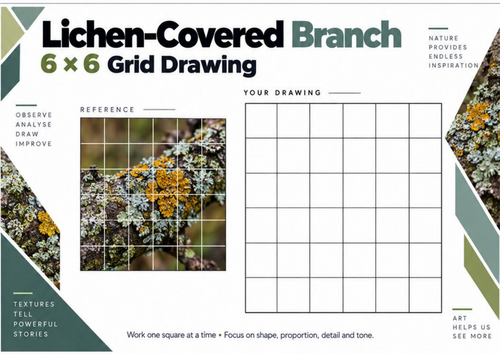 Lichen-Covered Branch Grid Drawing Worksheet | Natural Forms | KS3 & KS4 Art