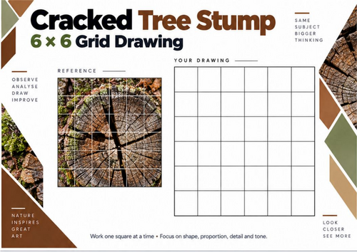 Cracked Tree Stump Grid Drawing Worksheet | Woodland Texture | KS3 & KS4 Art