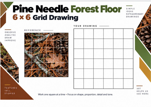 Pine Needle Forest Floor Grid Drawing Worksheet | Autumn Texture | KS3 & KS4 Art