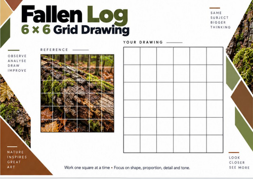 Fallen Log Grid Drawing Worksheet | Woodland Nature Study | KS3 & KS4 Art
