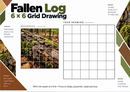 Fallen Woodland Log Grid Drawing Worksheet | Natural Texture Study | KS3 & KS4 Art