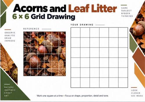 Acorns and Leaf Litter Grid Drawing Worksheet | Autumn Art | KS3 & KS4