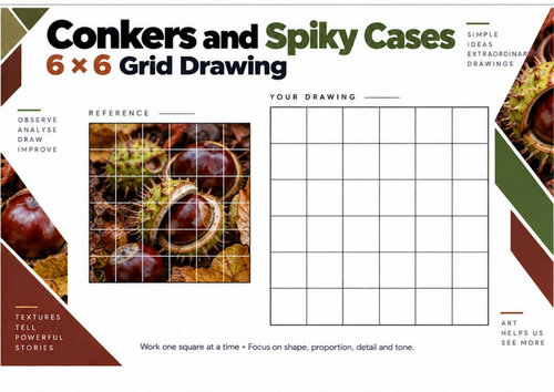 Conkers and Spiky Cases Grid Drawing Worksheet | Autumn Art | KS3 & KS4