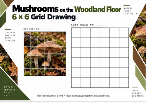 Woodland Mushrooms Grid Drawing Worksheet | Fungi & Natural Forms | KS3 & KS4 Art