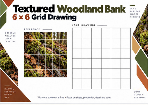 Textured Woodland Bank Grid Drawing Worksheet | Natural Forms | KS3 & KS4 Art