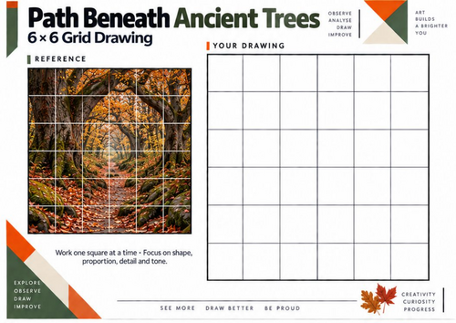 Ancient Trees Forest Path Grid Drawing Worksheet | KS3 KS4 Art