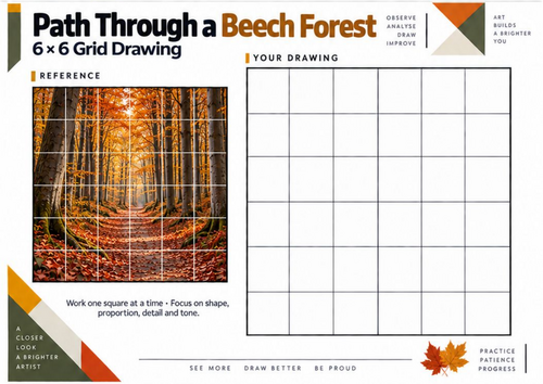 Beech Forest Path Grid Drawing Worksheet | Autumn Art KS3 KS4