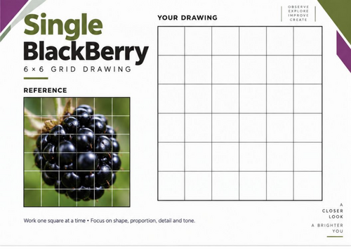 Single Blackberry Grid Drawing Worksheet | KS3 & KS4 Art