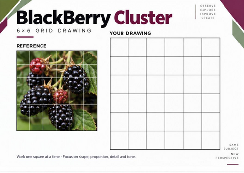 Blackberry Cluster Grid Drawing Worksheet | KS3 & KS4 Art