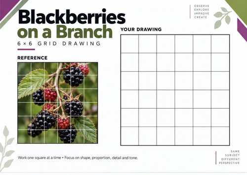 Blackberries on a Branch Grid Drawing Worksheet | KS3 & KS4 Art