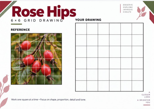 Rose Hips Grid Drawing Worksheet | KS3 & KS4 Art
