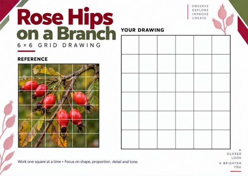 Rose Hips on a Branch Grid Drawing Worksheet | KS3 & KS4 Art