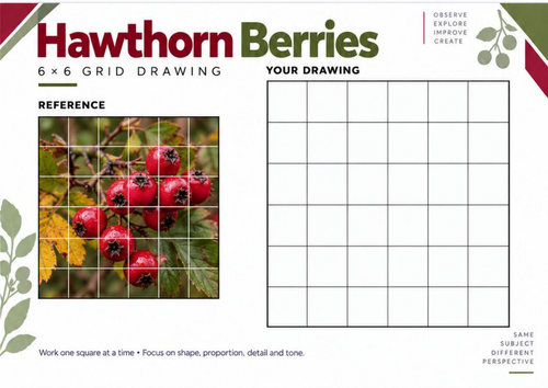 Hawthorn Berries Grid Drawing Worksheet | KS3 & KS4 Art