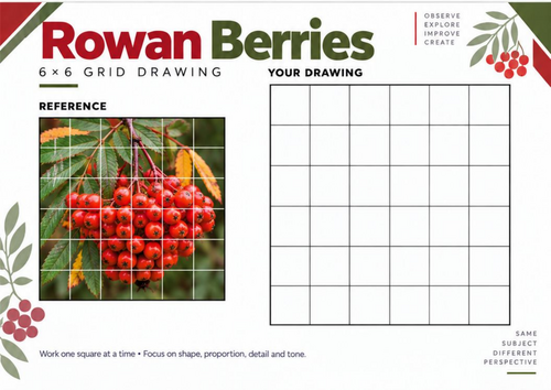 Rowan Berries Grid Drawing Worksheet | KS3 & KS4 Art