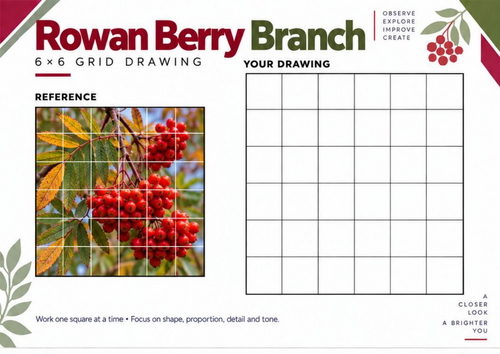 Rowan Berry Branch Grid Drawing Worksheet | KS3 & KS4 Art