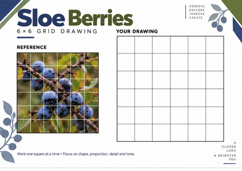 Sloe Berries Grid Drawing Worksheet | KS3 & KS4 Art