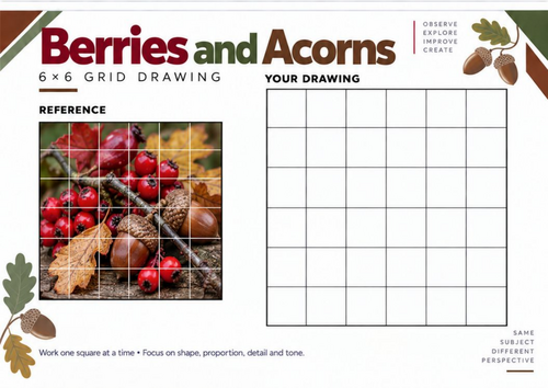 Berries and Acorns Grid Drawing Worksheet | KS3 & KS4 Art